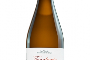 VINO ALBILLO CRIOLLO TAGALGUEN